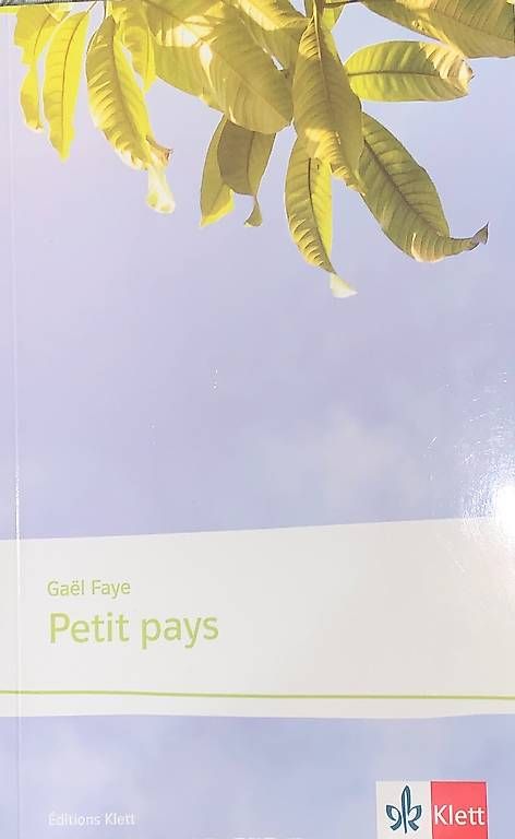Libri: Petit pays - Gaël Faye – Usato da Murten venduto da leonie_tutti