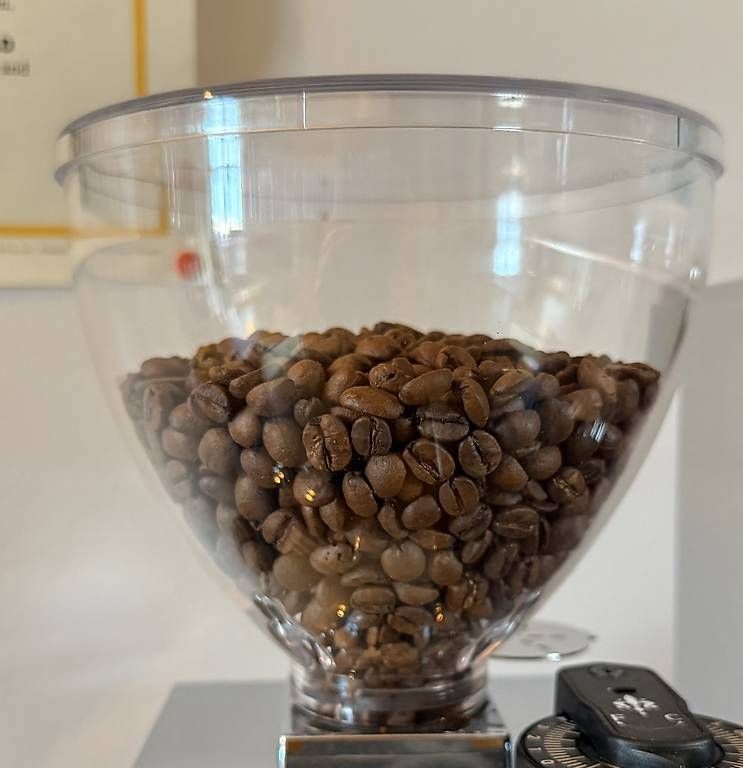 Macchine per caffè & Macchine per espresso: Eureka - Bohnenbehälter Libra 65 all purpose – Nuovo e nell'imballaggio originale da Basel venduto da Tomus