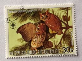 Briefmarken aus Guinea GESTEMPELT  Siehe Original Fotos. 