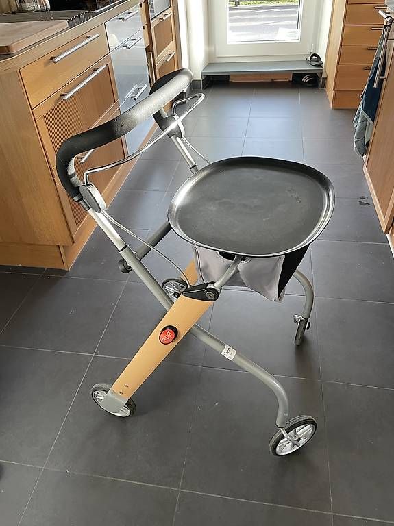 Ausili per la deambulazione: Rollator – Usato da chamby venduto da annelisev