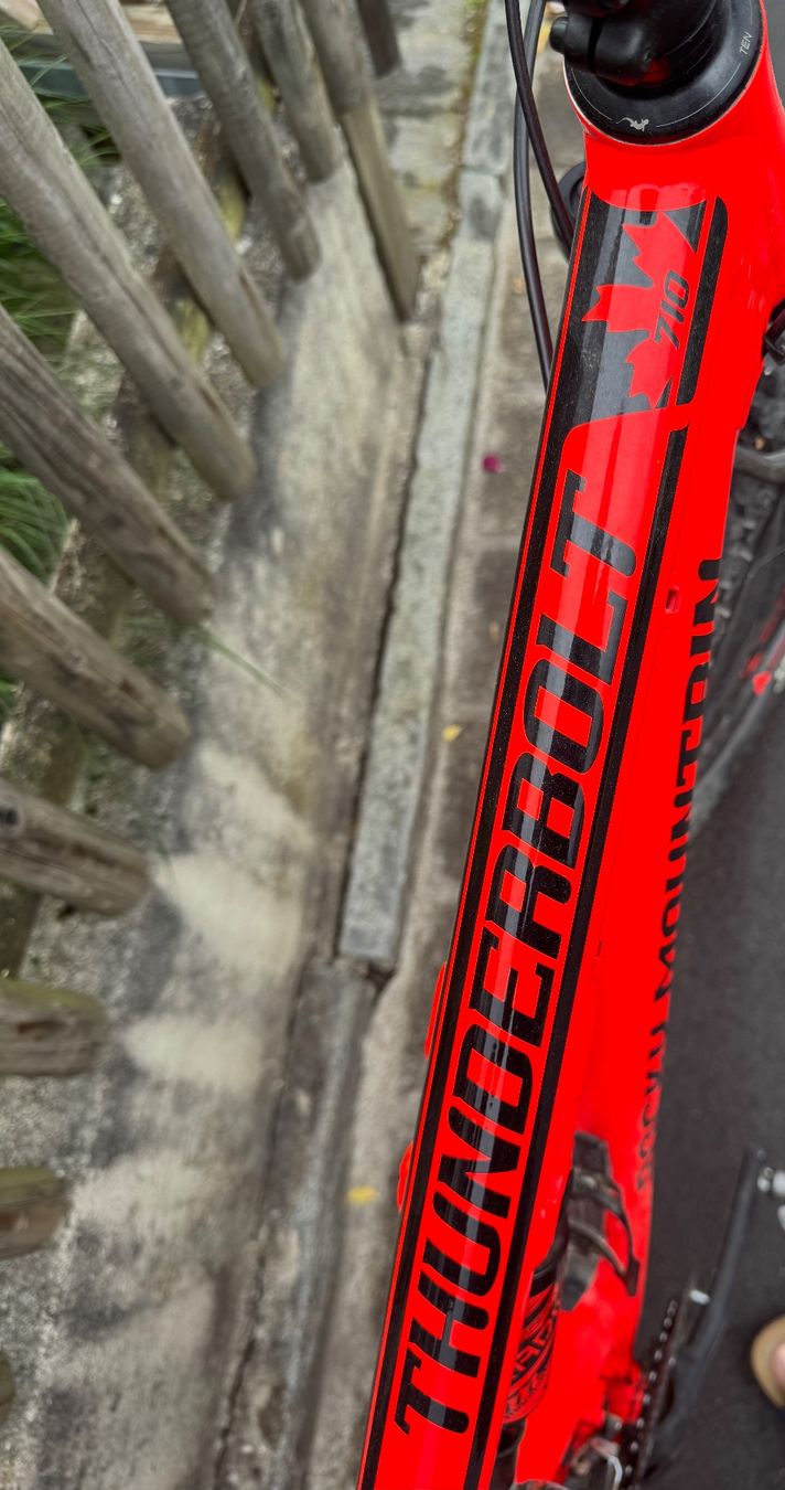 Rocky Mountain Bicycles Biciclette: Rocky Mountain Thunderbolt 710 – Usato da Winterthur venduto da BaHu 2