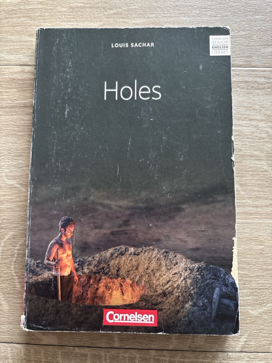 Libri: Holes - Louis Sachar – Usato da Wil SG venduto da Deborah1997