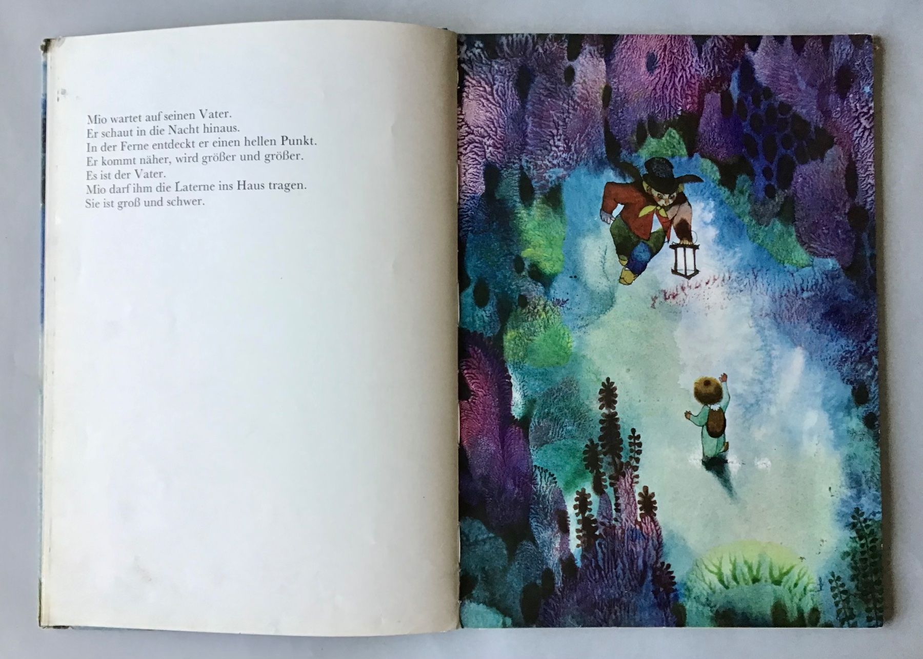 Libri: Bilderbuch: Leuchtkäferchen - Jiri Trnka – Usato da Bubendorf venduto da Alpenheidi 5