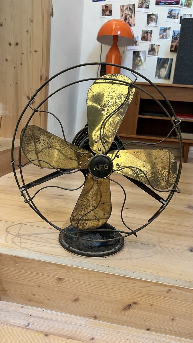 Ventilatori: AEG Ventilator Typ EVI 75 – Usato da Vilters venduto da kid_calypso