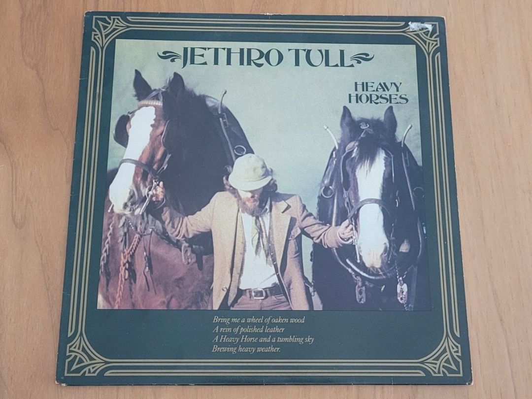 Dischi in vinile: LP Jethro Tull – Usato da Martigny venduto da MZ-67