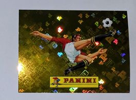 Panini WM Sticker - 00