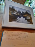 Druckbild " am Teich
