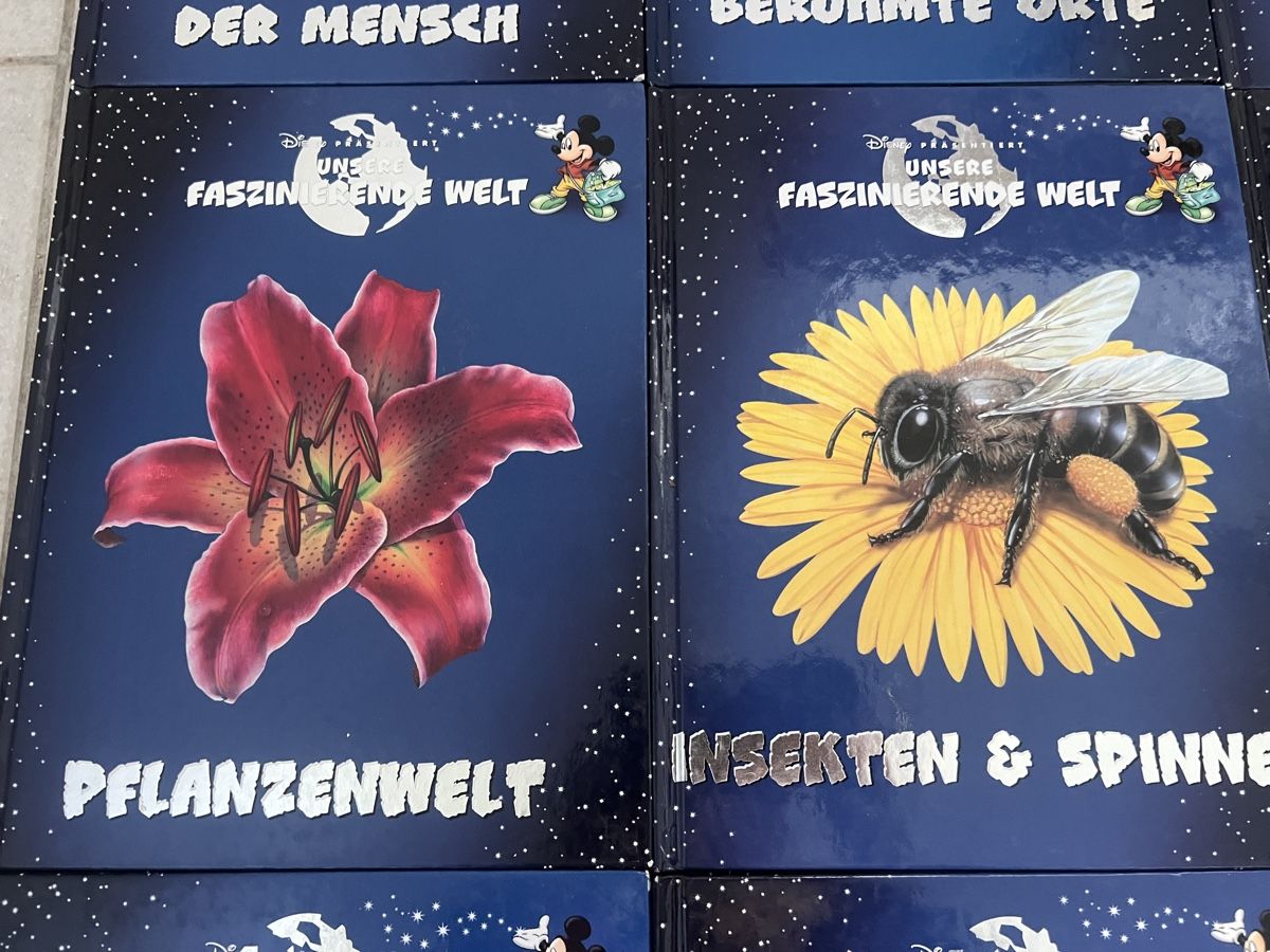 Libri: Disney Micky Maus Wissen Sammlung Bücher – Nuovo (secondo la descrizione) da Niederglatt ZH venduto da AnFleischmann 1