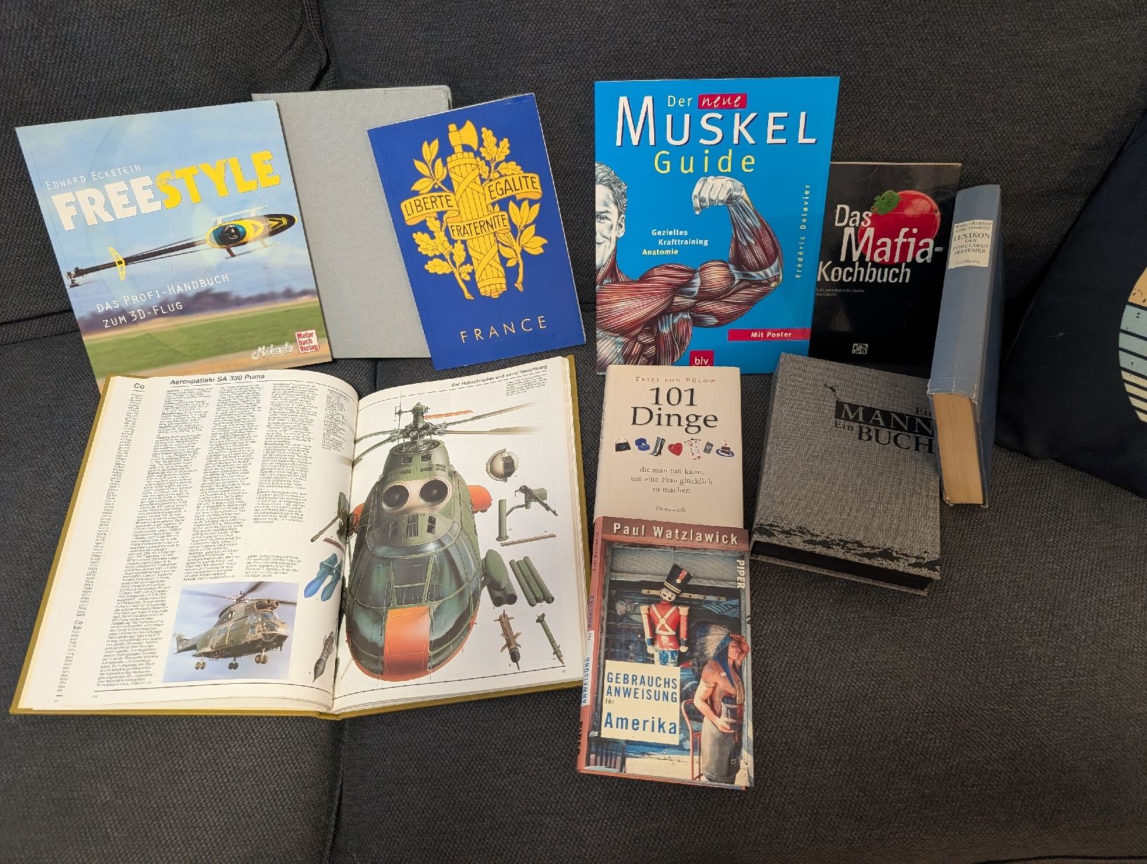 Libri: Bücherpaket 6 Bücher + 2 Notizbücher – Usato da Roggwil BE venduto da MA-4900