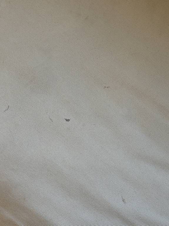 Divani: Ikea Sofa EKTORP – Usato da Wädenswil venduto da ja3400 1