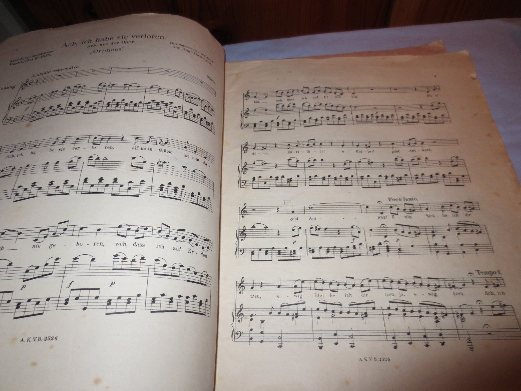 Libri: Edvard Grieg Klavier zu zwei Händen – Usato da Männedorf venduto da Livingston 2