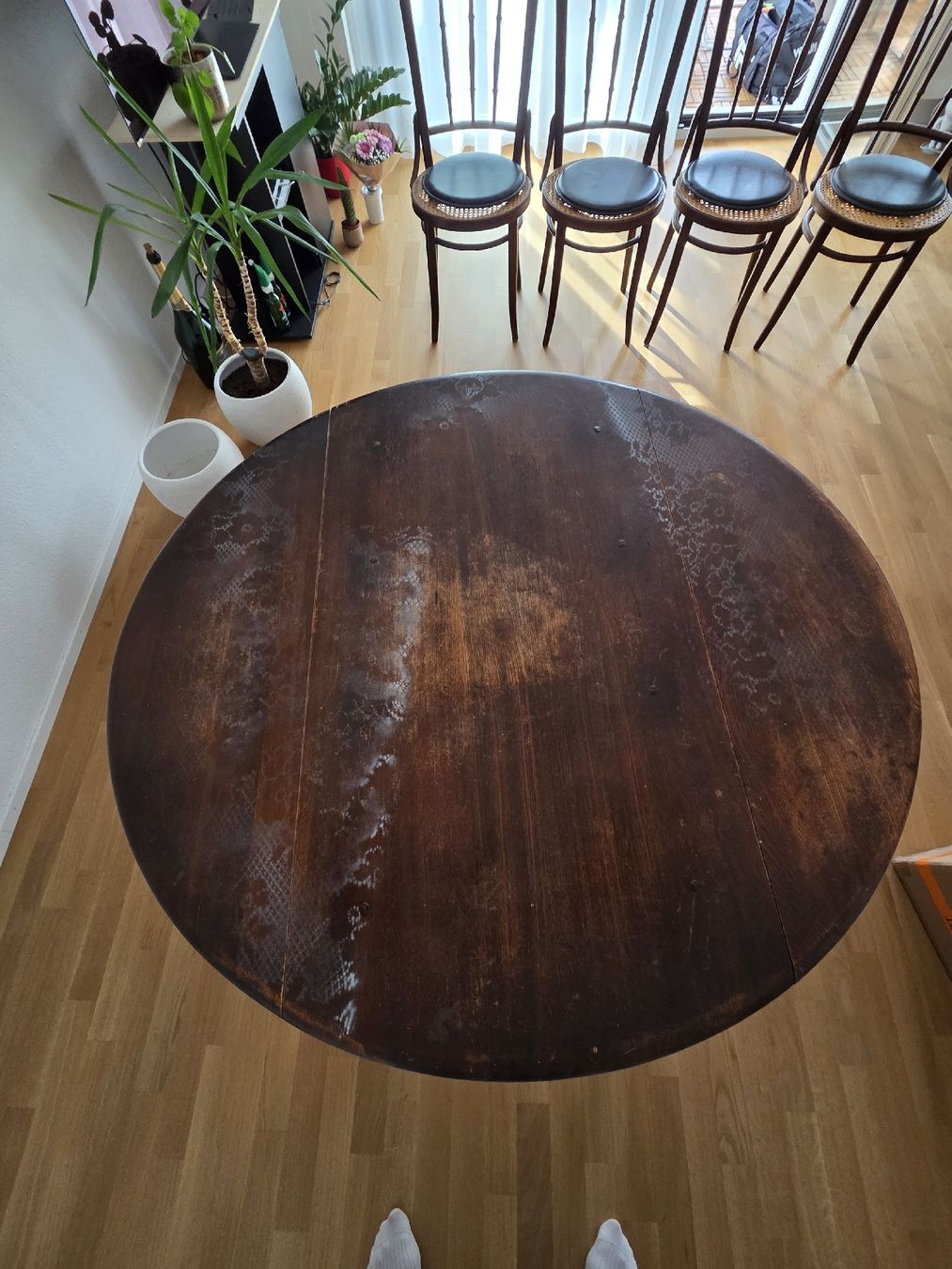 Tavoli: Esstisch mit 4 Stühlen – Usato da Rüti ZH venduto da rue_y8fj