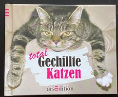 TOTAL GECHILLTE KATZEN 🐈 🐈‍⬛