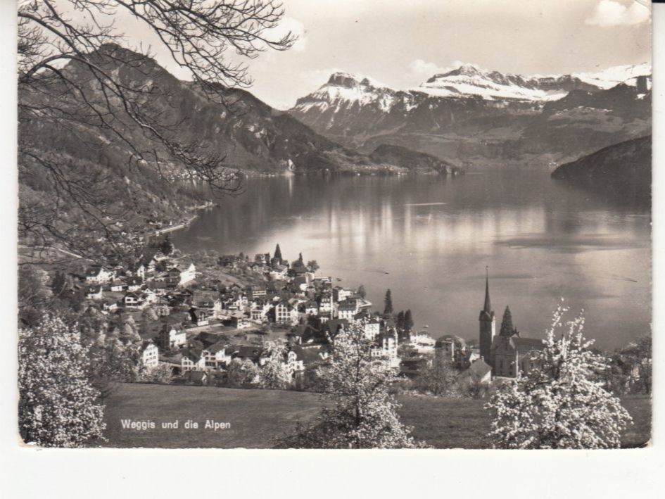 Cartes postales: Weggis ca. 1950 – D'occasion à Bürglen TG par StampGraf