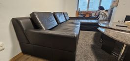 Echt Ledersofa ab 1Fr