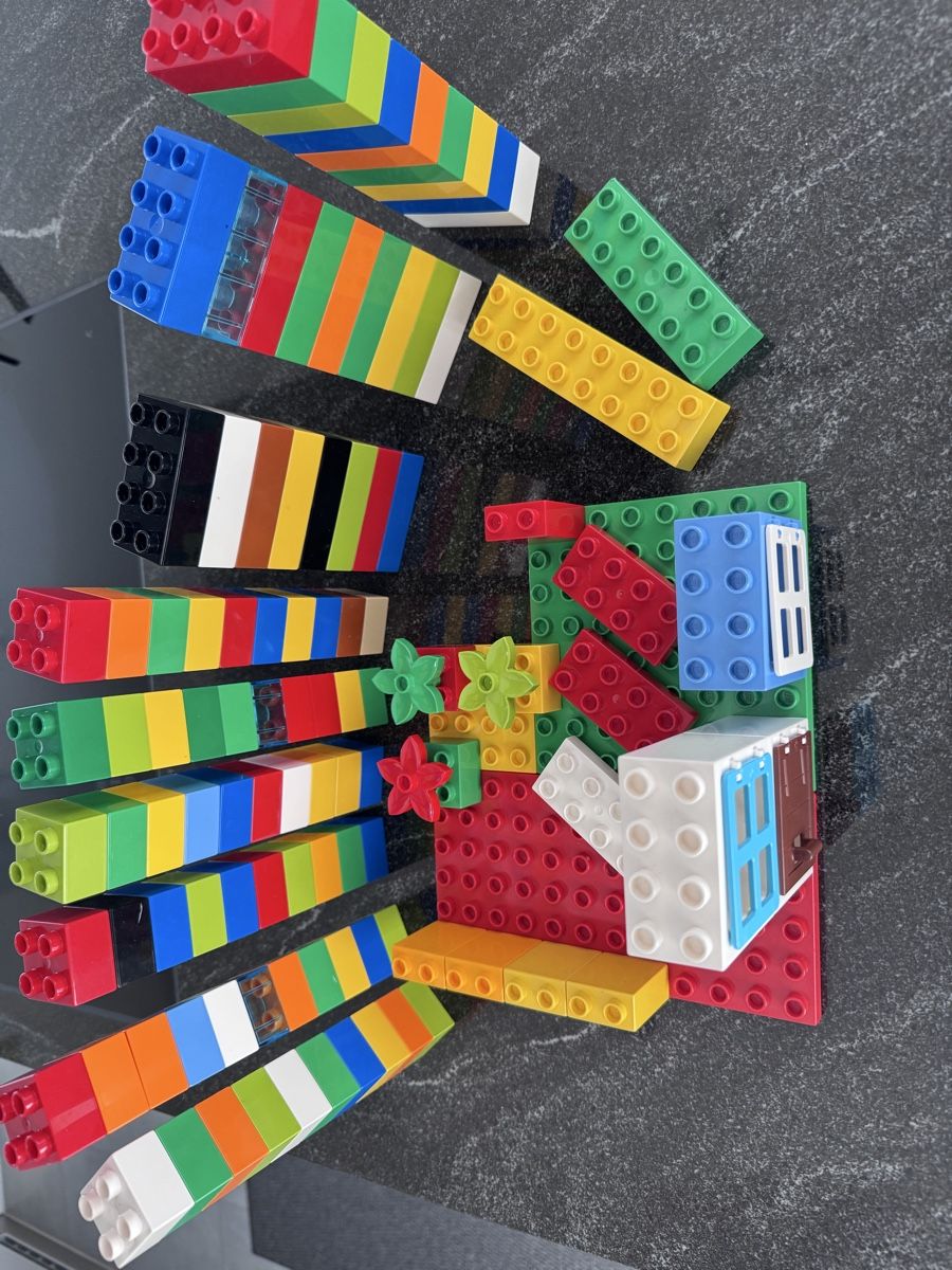 Lego Giocattoli: Duplo Bausteine und Tiere – Usato da Wiesendangen venduto da Biker39 2