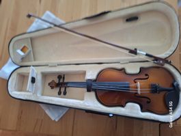 Geige / Violine