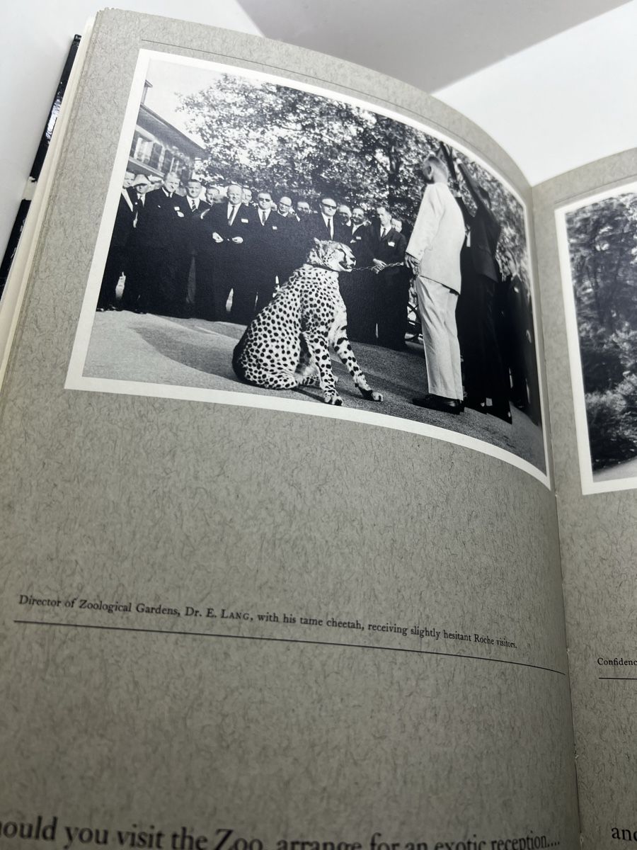 Libri: Roche Managers Meeting 1966 – Usato da Wettingen venduto da NickInc 5