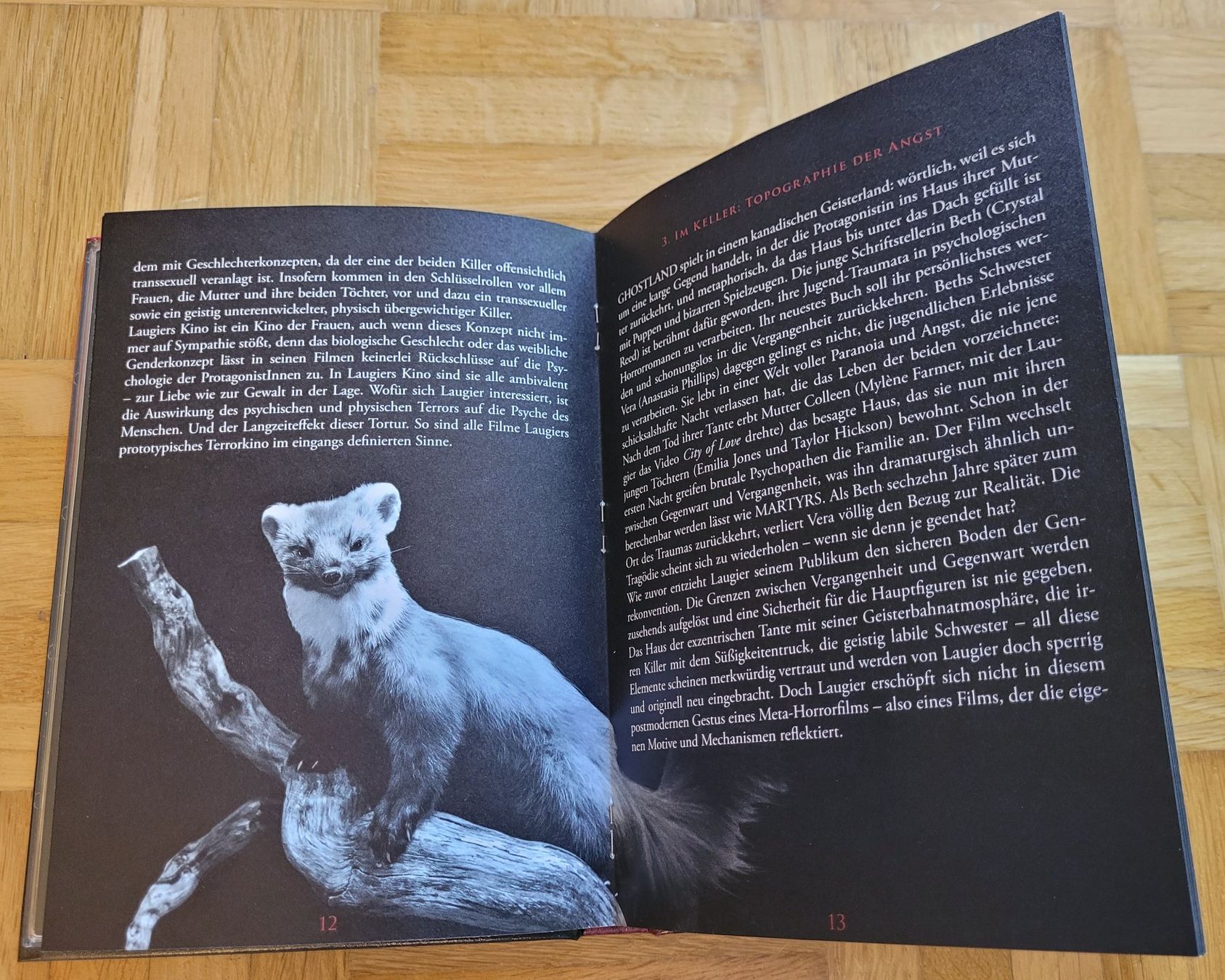 Tutti i DVDs: GHOSTLAND - LIM.MEDIABOOK BLU-RAY + DVD – Usato da Arbon venduto da Wizle 4