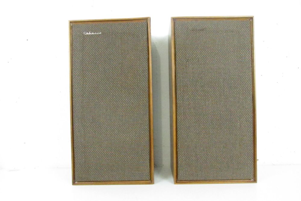 Enceinte Boomer 30 Cm Cabasse - Vintage - Années 30 - Occasion Fonctionnelle