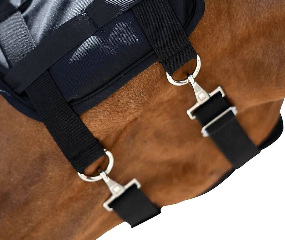 Maschere: Maschera al titanio per cavalli – Usato da Muralto venduto da Mandy2009 1