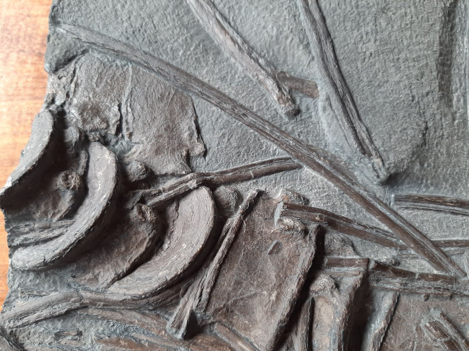 Fossili: Ichthyosaurier Wirbelsäulenstück und Rippen – Usato da Rickenbach BL venduto da Oktober68 3