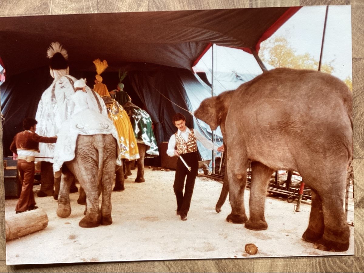 Foto & Immagini: Circus Knie Foto 1980 – Usato da Reichenbach i. K. venduto da astra2010