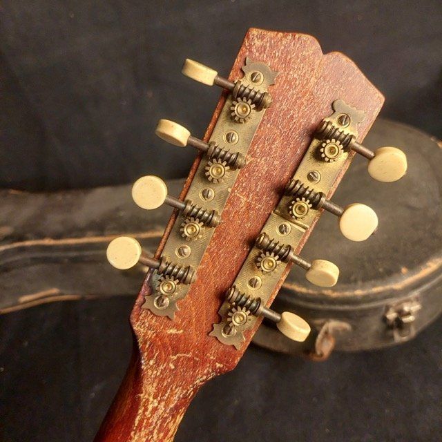 Strumenti musicali: Antike Banjo-Mandoline mit Originalkoffer - Ticino – Difettoso da Zürich venduto da Ricardo_Noname 1
