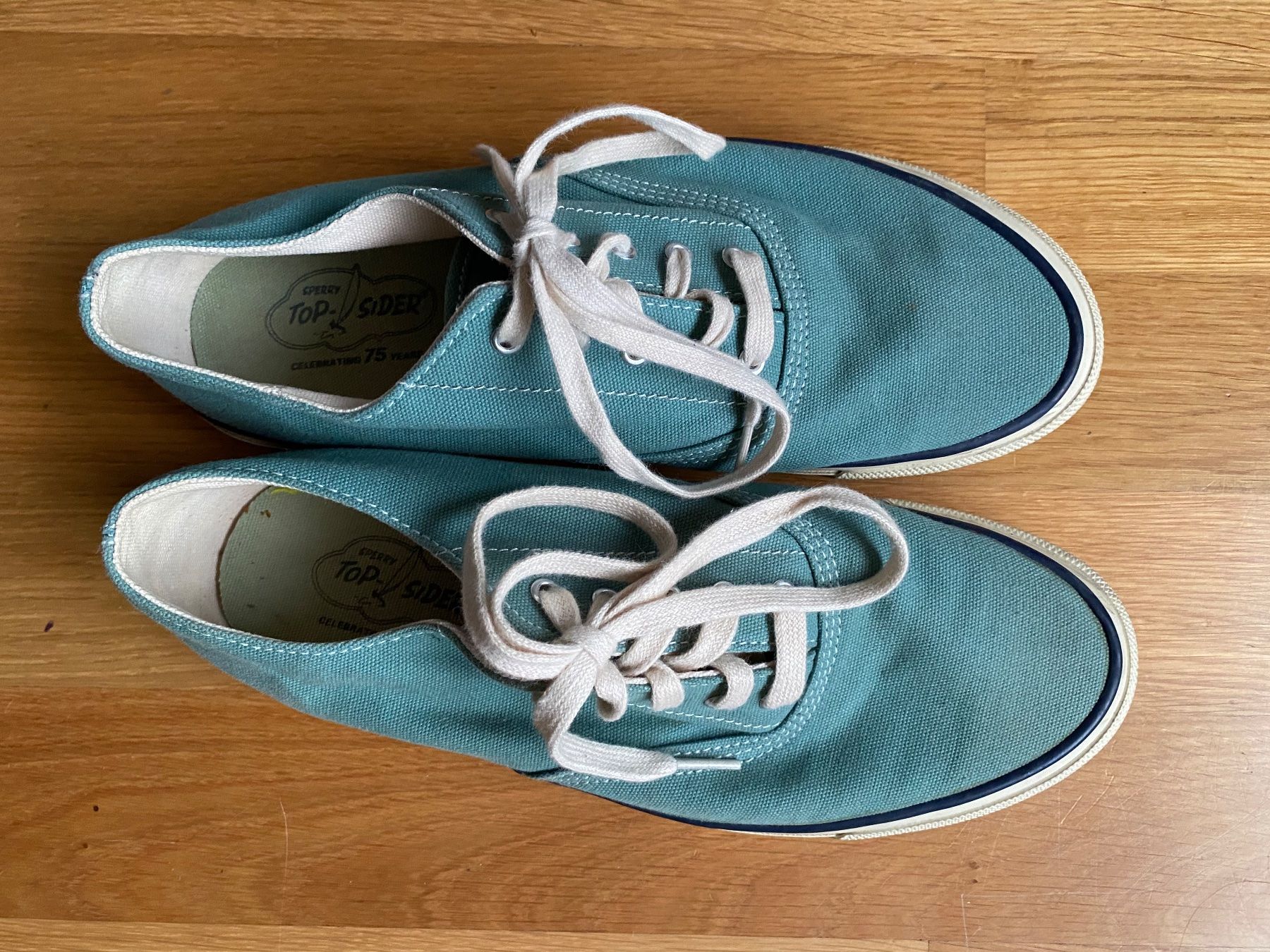 Scarpe da uomo: Segelschuhe SPERRY TOP SIDER Gr. 41 – Usato da Bern venduto da Arecibo07
