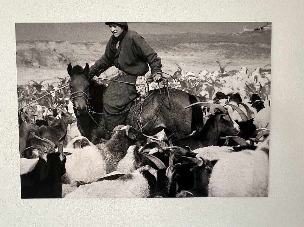 Foto & Immagini: Fotos Mongolei auf Alu – Usato da Zürich venduto da zizou9 3