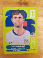 Panini FIFA World Cup USA 16