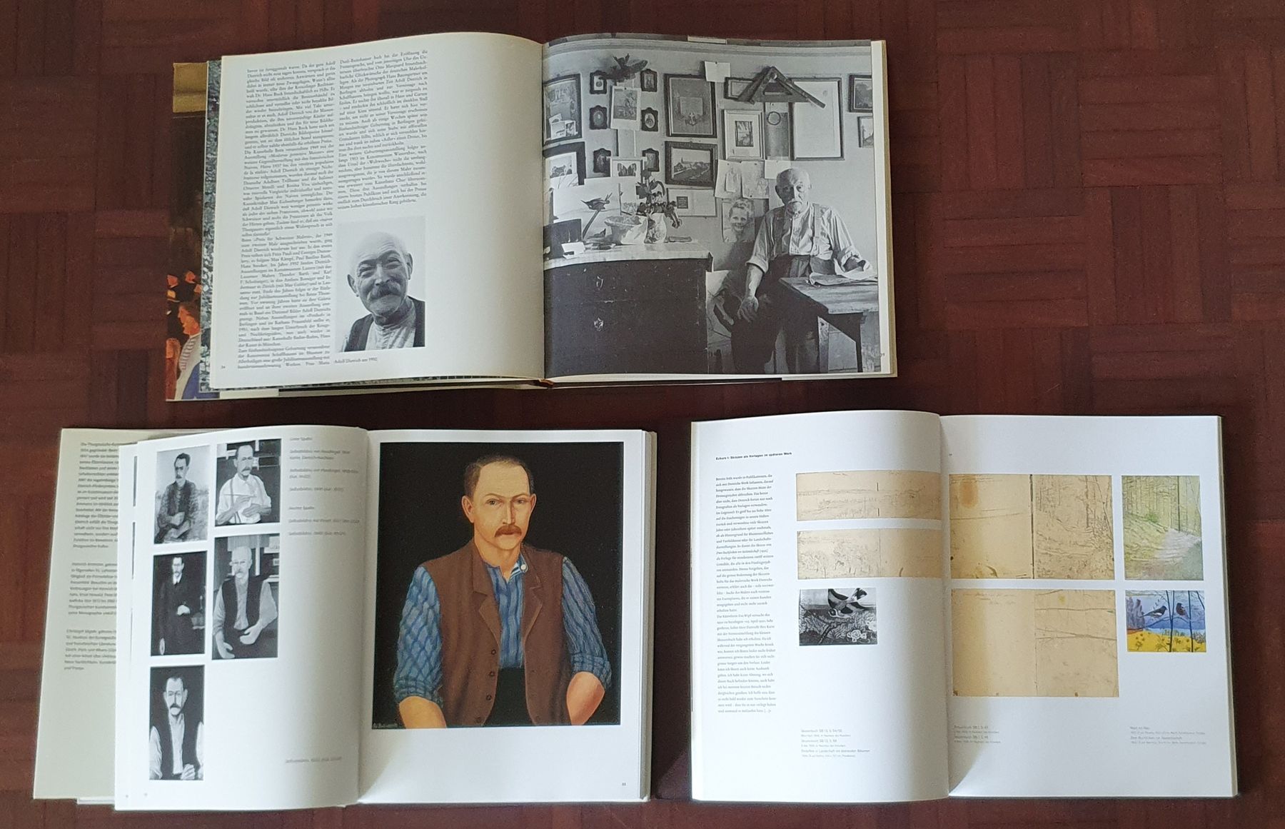 Libri: Adolf Dietrich, 3 Bücher – Usato da Kreuzlingen venduto da Rschweiz1 1