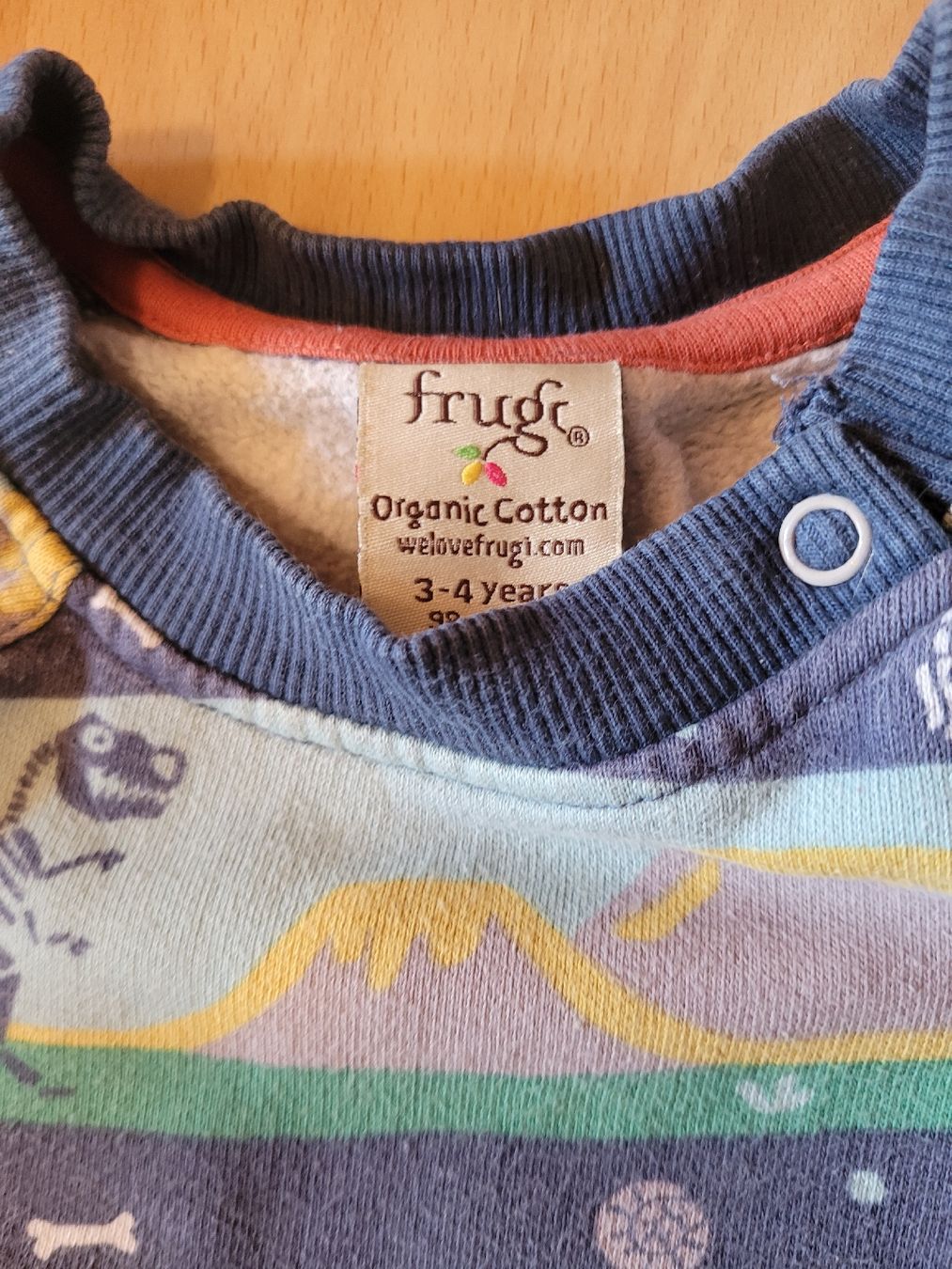 Maglioni & Felpe: Frugi Pullover Dino 98/104 – Usato da Wildhaus venduto da imk_j7xl 1