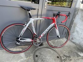 Colnago Rennrad in Carbon, Dura Ace Grösse 54