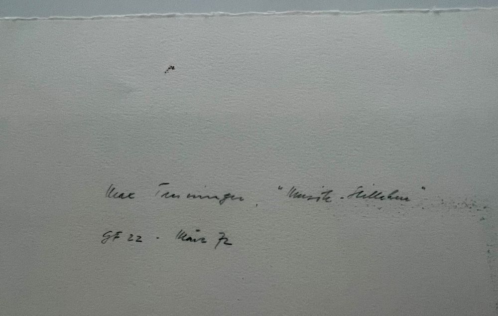 Grafica & Litografie: Max Truninger  Lithographie signiert nummeriert – Usato da Gersau venduto da grafik-kunst 3