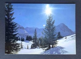 AK Grindelwald Fiescherwand Eiger