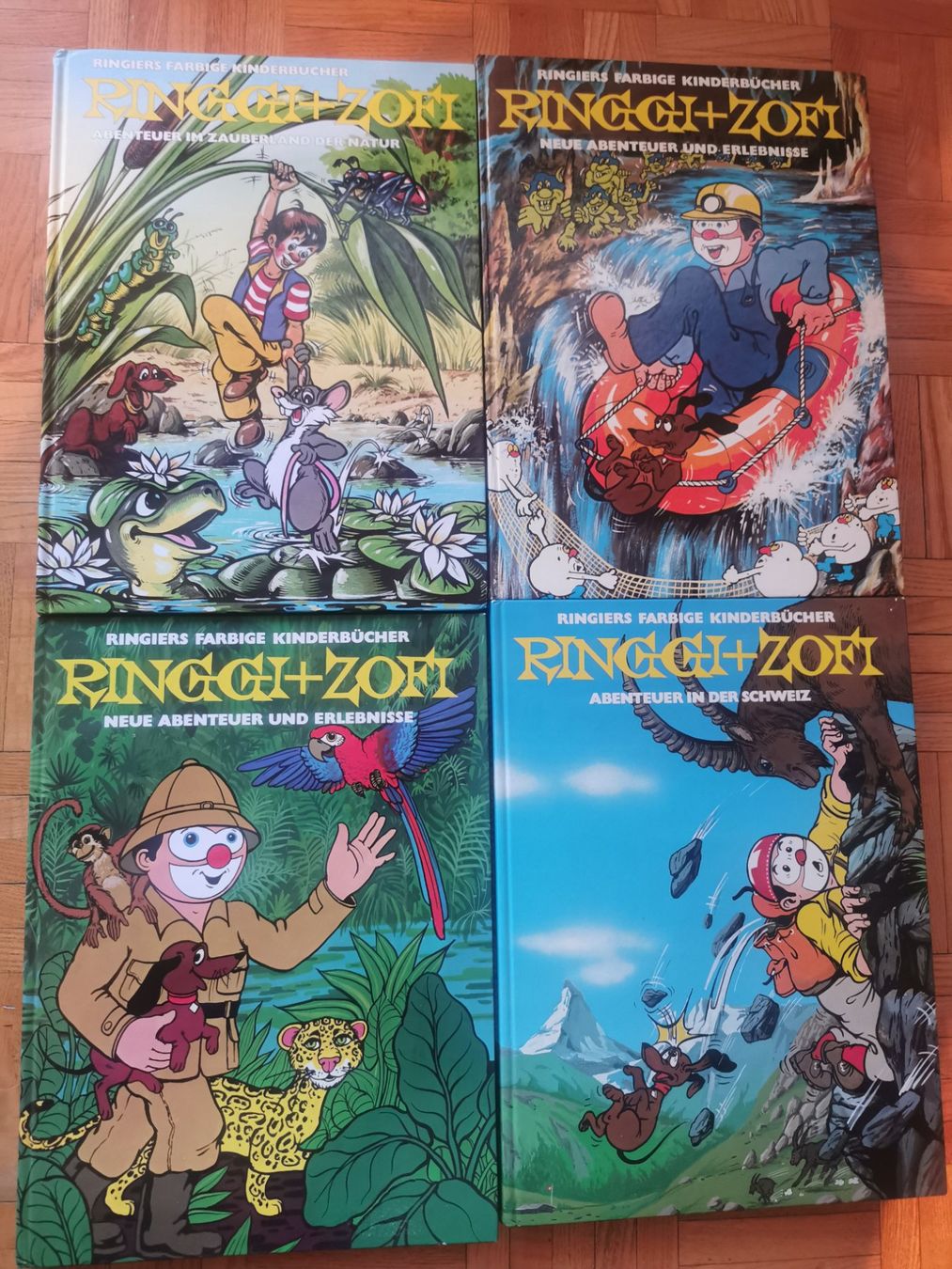 Libri: Ringgi + Zofi 7 Bücher – Usato da Uster venduto da bek_v2ct