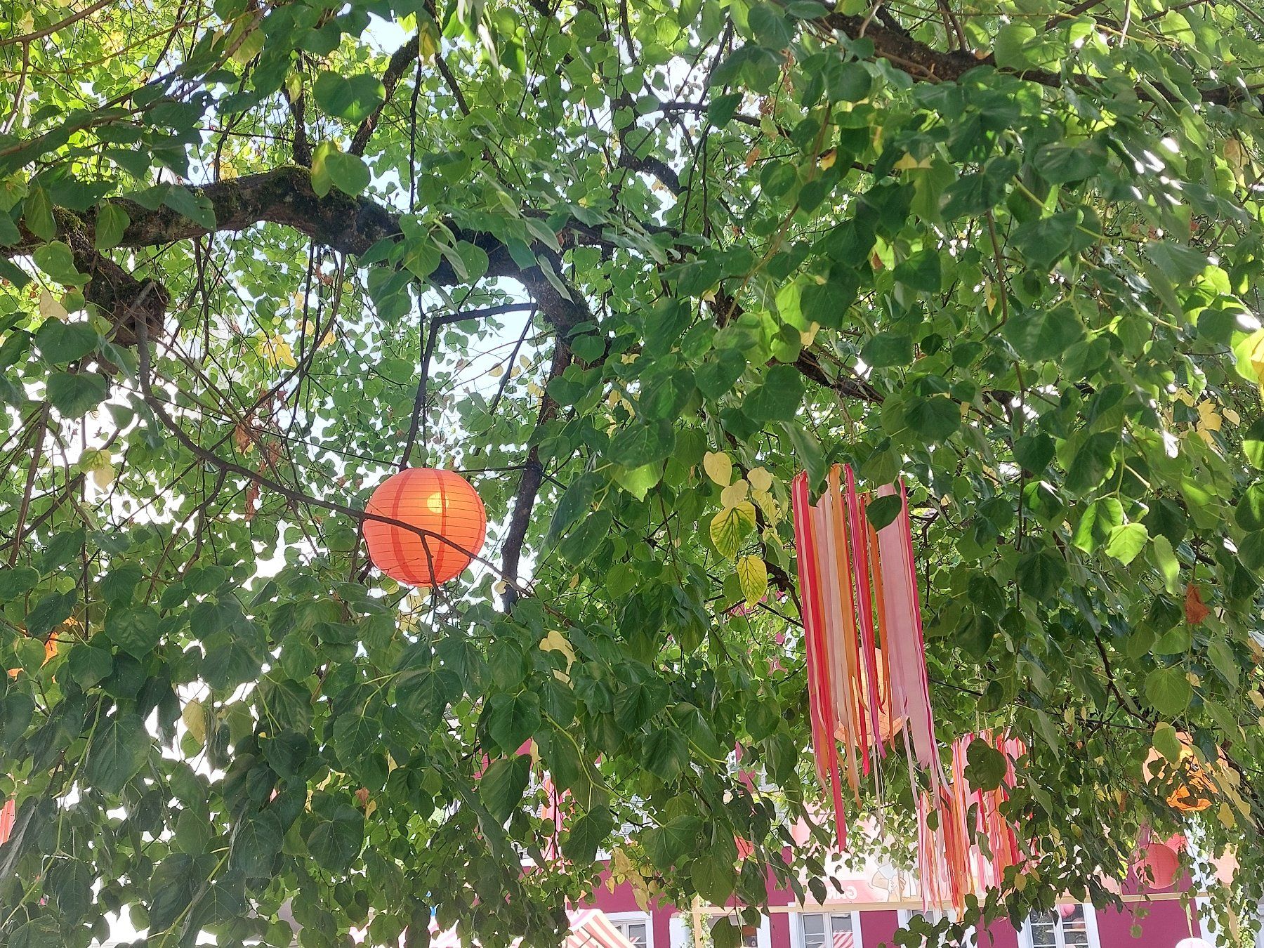 Tutte le decorazioni: STOFFLAMPION + WINDSPIEL – Usato da Gipf - Oberfrick venduto da Esnoopy 2