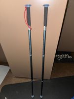 Adjustable Decathlon Hiking Sticks