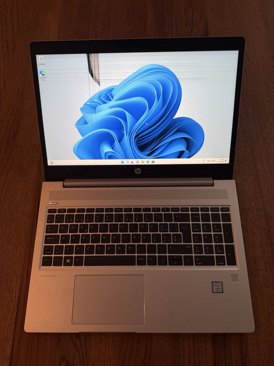 Hewlett Packard Notebook: Notebook - HP ProBook 450 G6 - Ab 1 Fr..! – Usato da Zürich venduto da ersel