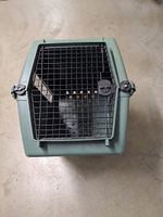 caisse pour animal