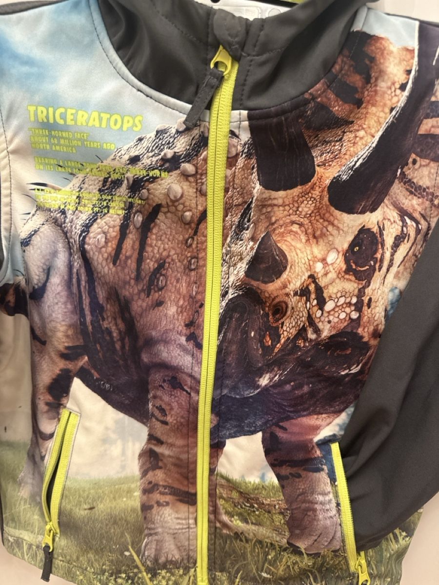 Jacken: Coole Dino-Jacke, Grösse 110 – Gebraucht aus Zollikerberg von mrelephanto78 1