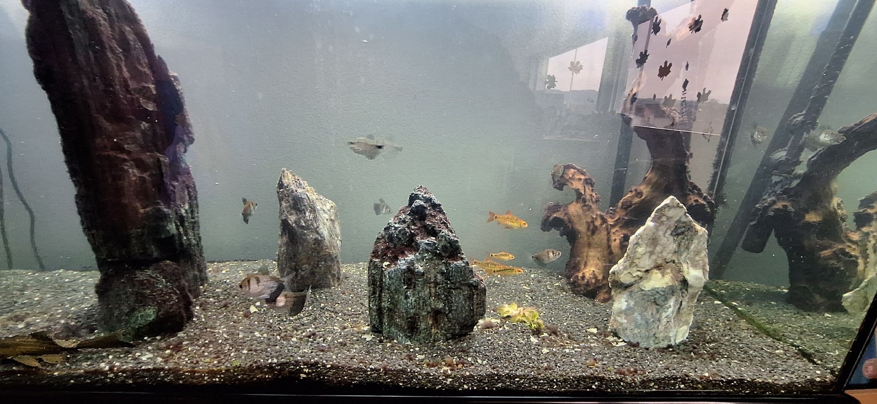 Acquari: Aquarium Aquatlantis – Usato da Hochdorf venduto da FRESHTRASH 1