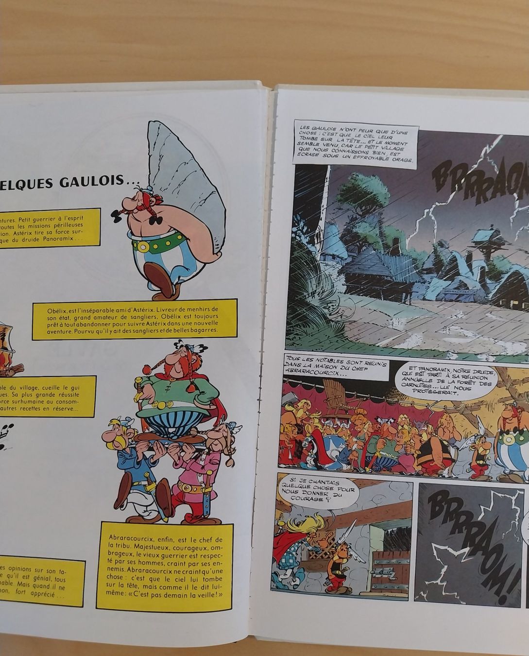 Comics: ASTERIX - Le Devin – Gebraucht aus Bussigny von jaqual 1