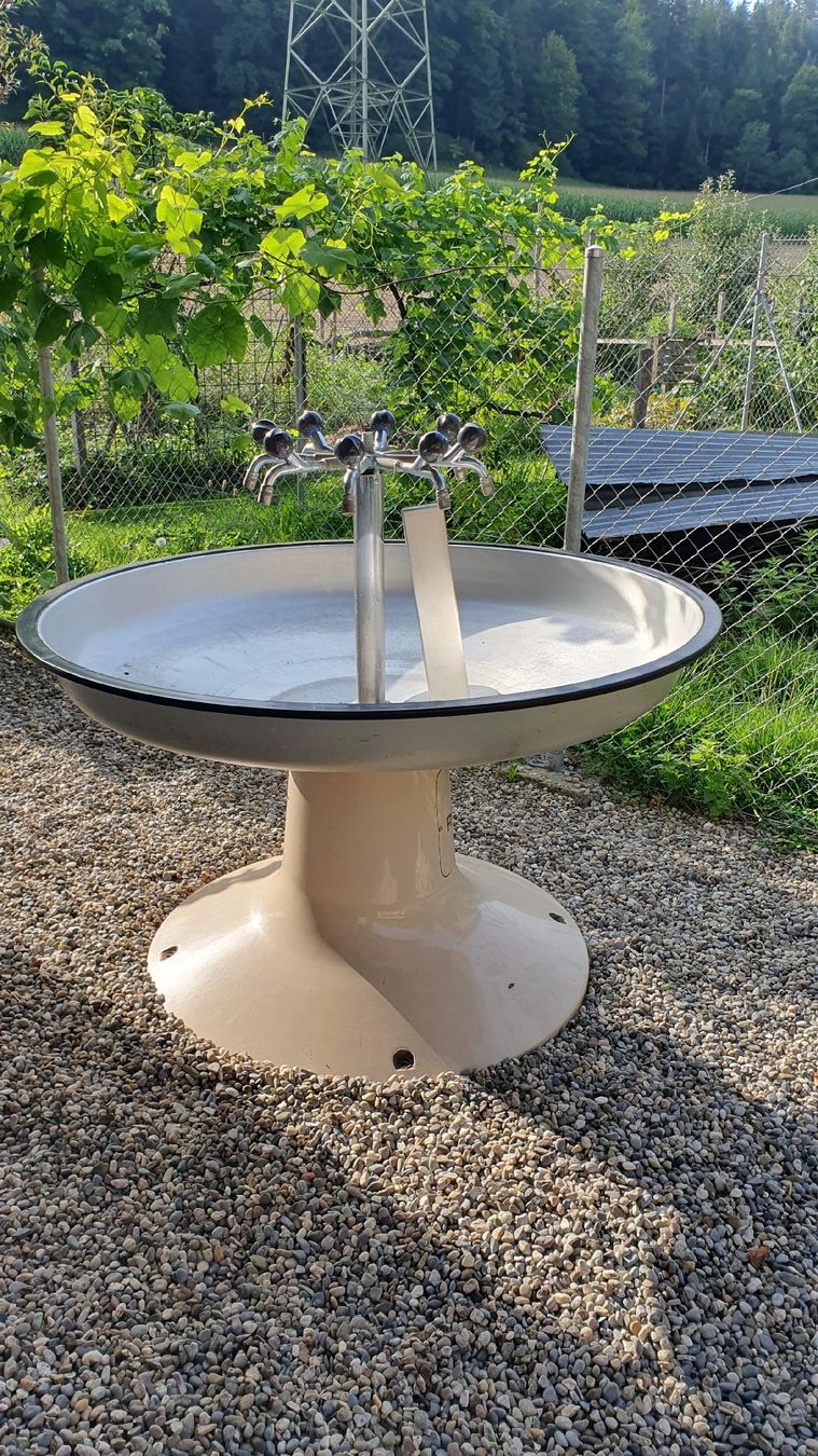 Stagni & Fontane ornamentali: Waschbecken ROMAY – Usato da Lützelflüh-Goldb venduto da oliden71