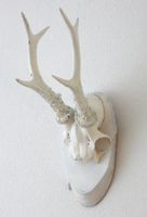 Rehbock - Geweih auf Birkenholz - weiss gespritzt - 33.5cm.