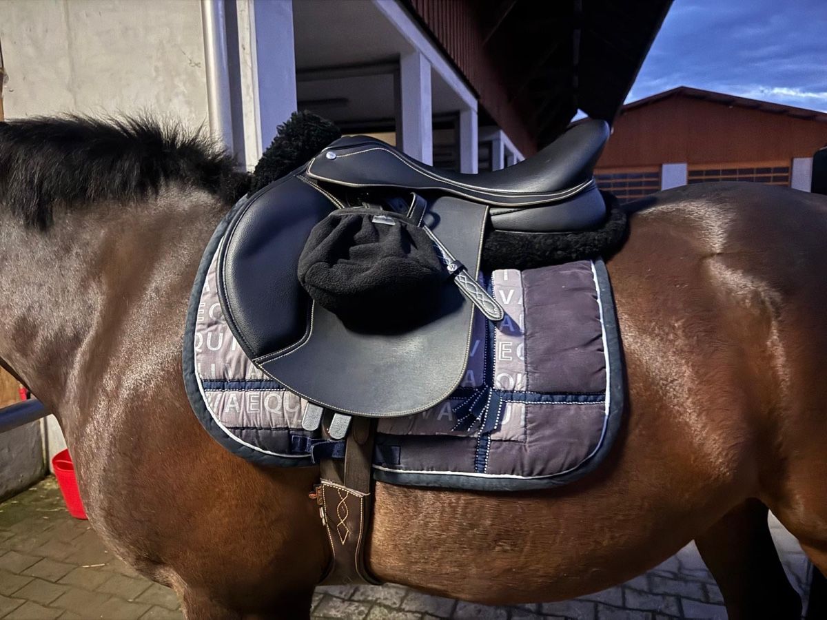 Sattel & Sattelzubehör: Wintec Sattel 17"  – Gebraucht aus degersheim von mutti1