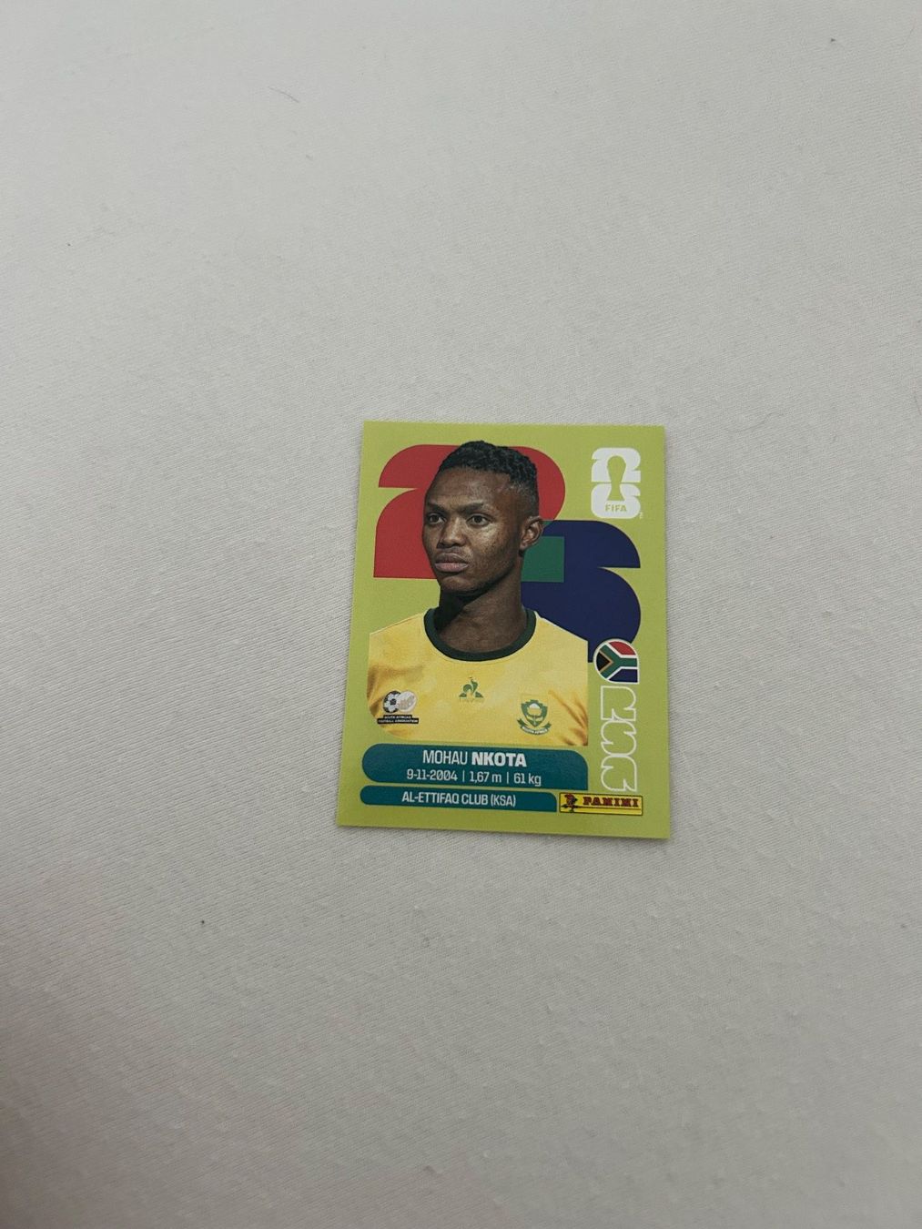 Panini Carte collezionabili: Panini RSA 19 – Usato da Steckborn venduto da DavidLM