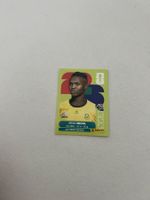 Panini RSA 19