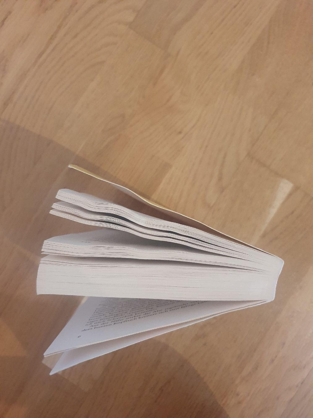 Libri: Sommerwind über der Heide von Virginia Canetta – Usato da Moosseedorf venduto da Sonnenschein.. 4